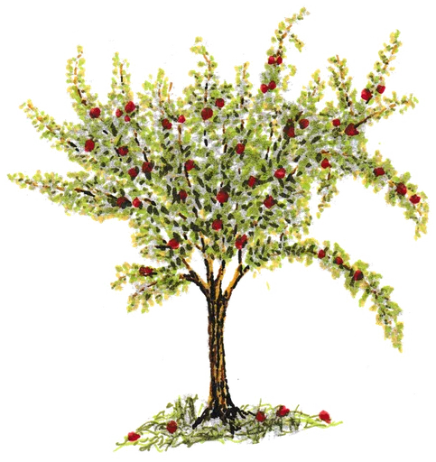 Franklin Grove Area Historical Society logo