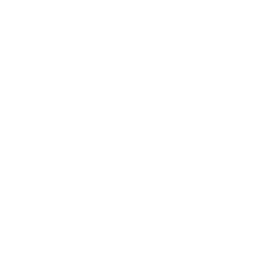 Ryan Foundation logo