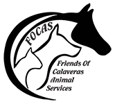 Friends of Calaveras Animal Services or Focas logo