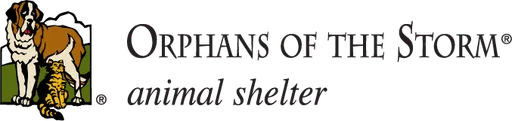 Orphans of the Storm logo