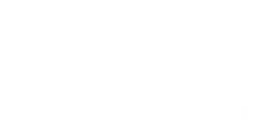 National Independent Statistical Service logo