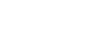 National Independent Statistical Service logo