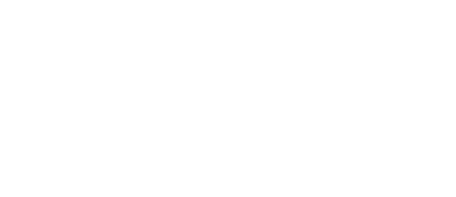 Rockford Symphony Orchestras Inc logo