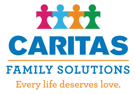 Christian Social Service of Illinois logo