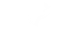 Illinois Coalition Against Domestic Violence logo