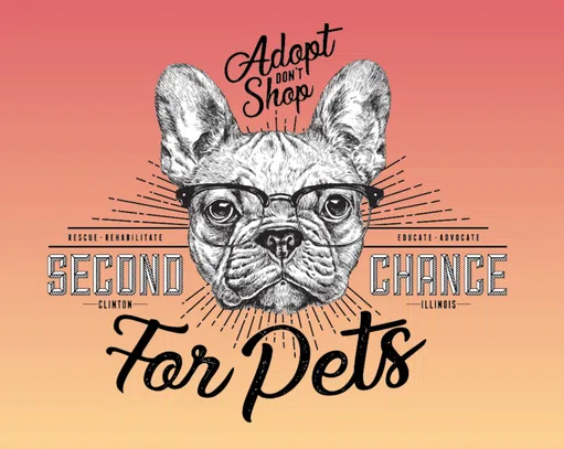 Second Chance Pet Adoptions Foundation logo