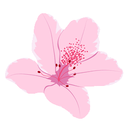 Bay City in Bloom logo