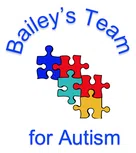 Baileys Team Inc logo