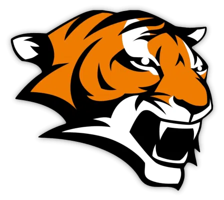 Marple Newtown Football Boosters Club logo
