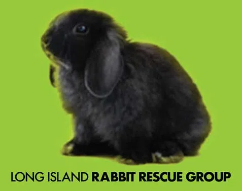 Long Island Rabbit Rescue Group logo