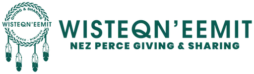 WIS TEQ Neemit logo