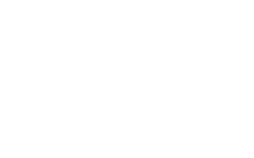 Streams of Light International Inc logo