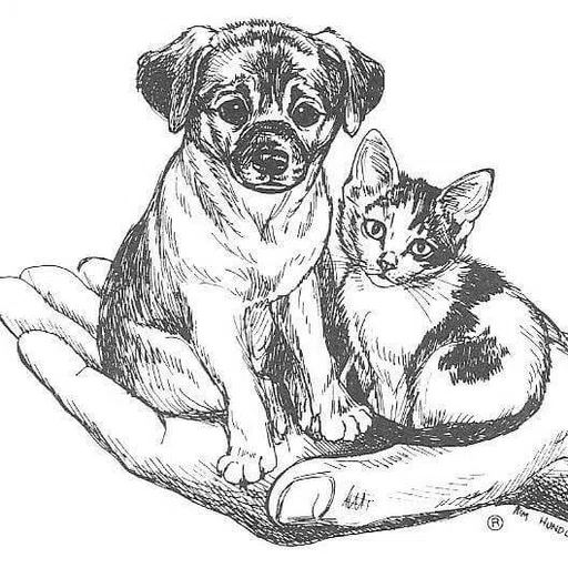 Cheboygan County Humane Society logo