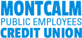 Credit Unions Chartered in the State of Michigan logo