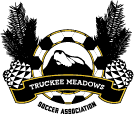 Rochester Youth Soccer League logo