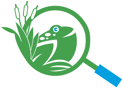 ODC Network logo