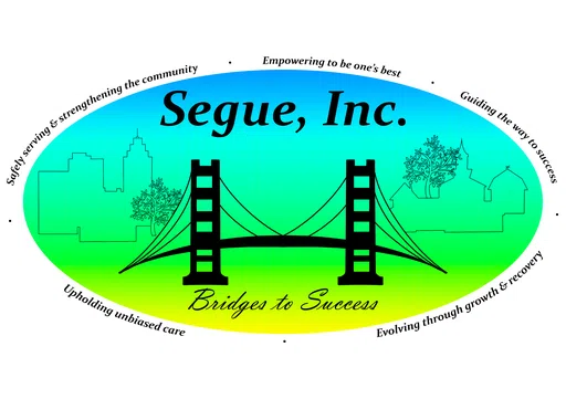 Segue Inc logo