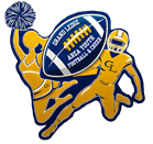 Grand Ledge Area Youth Football logo