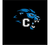 Canton Lions Junior Football logo