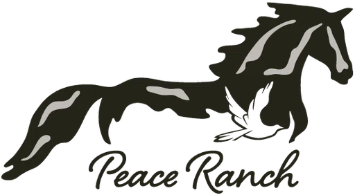 Paraklesis Inc logo
