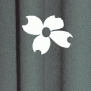 Arts Center for Newaygo County logo