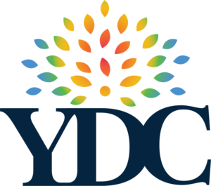 Youth Development Company and Police Athletic Activities League logo