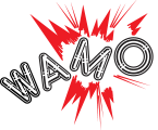 Wisconsin Amusement and Music Operators Inc logo