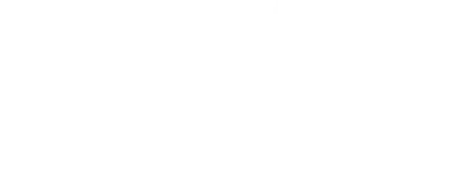 American Birkebeiner Ski Foundation Inc logo
