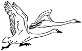 Fellow Mortals Inc logo