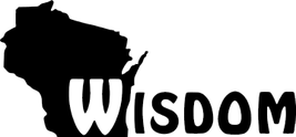Wisdom Inc logo