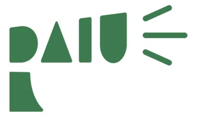 Responsible Ai Usage Foundation Inc logo