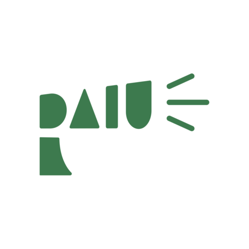 Responsible Ai Usage Foundation Inc logo