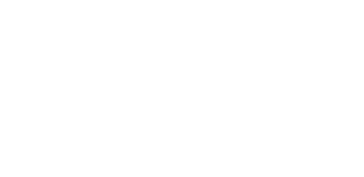 Camp Nebagamon Scholarship Fund logo