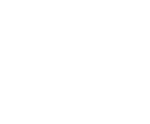 Camp Amnicon Foundation logo