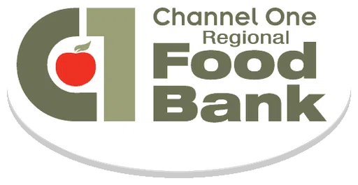 Channel One Inc logo