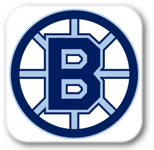 Blaine Youth Hockey Association logo