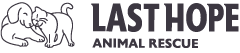 Last Hope logo