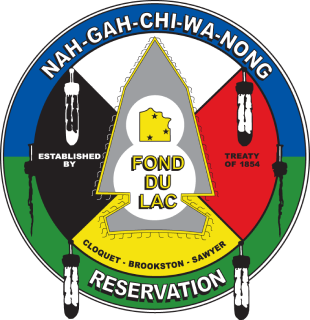 Fond Du Lac Foster Care Licensing and Placement Agency Inc logo