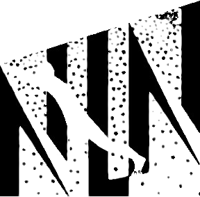 Northern Lights Nordic Ski Club Incorporated logo
