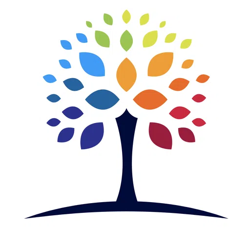 Cannon Valley Senior Center logo