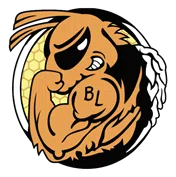 Big Lake Youth Football Association logo