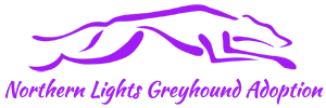Northern Lights Greyhound Adoption logo