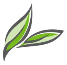 Orono Foundation for Education logo