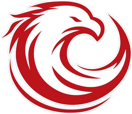 The Academy Inc logo