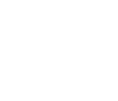Ames Girls Softball Association logo