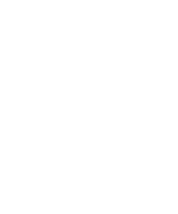 National SPRINT Car Hall of Fame & Museum Foundation Inc logo