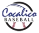 Cocalico Baseball Organization logo