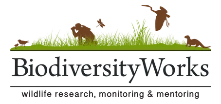 Biodiversityworks Inc logo