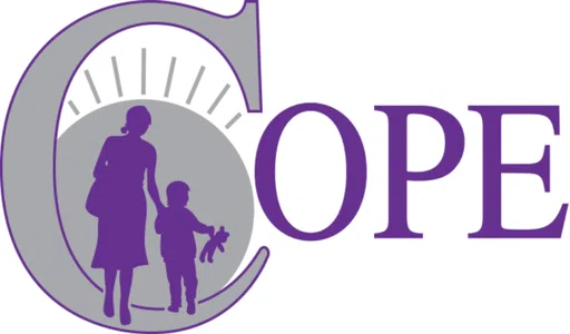 Council to Prevent Domestic Violence Inc logo