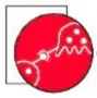 Association of Osteobiology logo